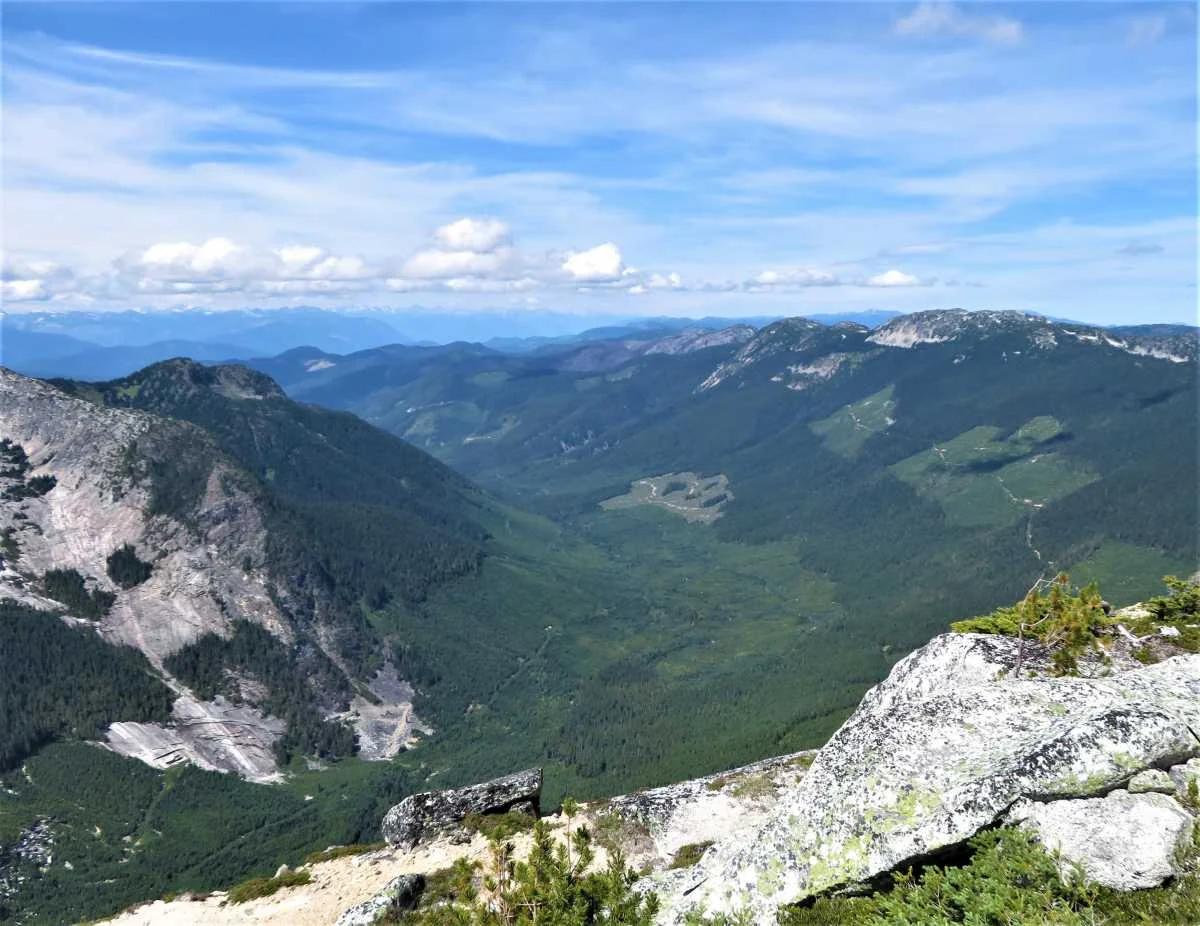 Expansive mountain and forest view from Guanaco Peak