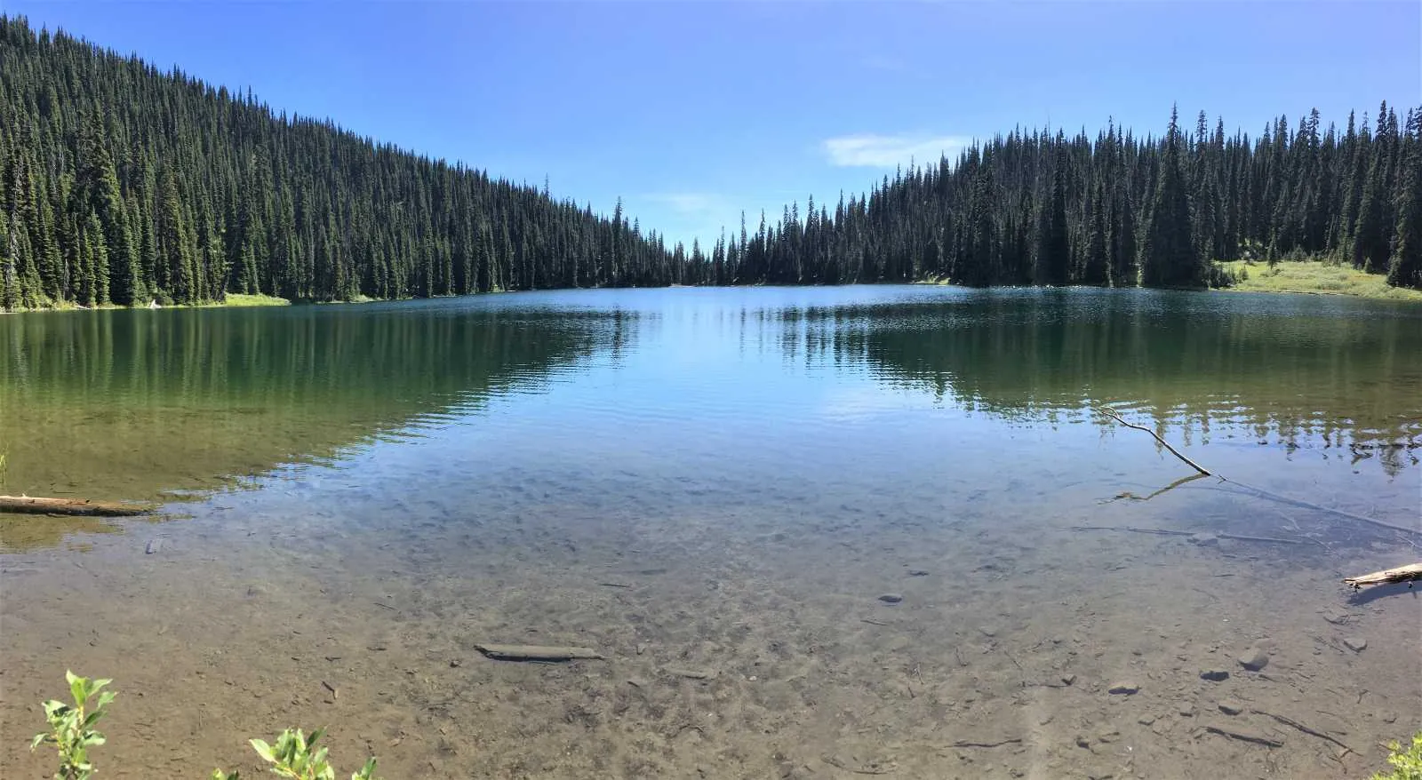 Calm waters of Poland Lake surrounded by evergreen forest